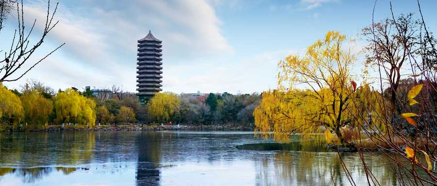 中国大学TOP20榜单：2024最新排名与分数
