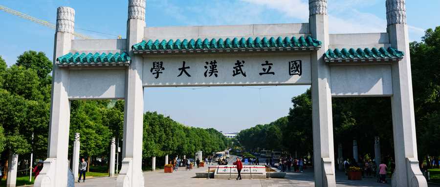 武汉大学2024本科招生官网入口：专业目录与报考要求