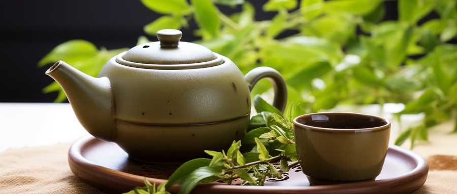张雪峰谈茶学：从茶园管理到茶饮品牌，就业与创业全解析