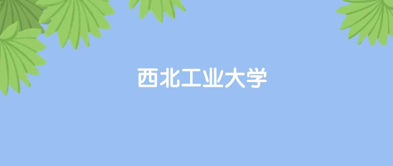 西工大2025全球排名：国内20世界253位