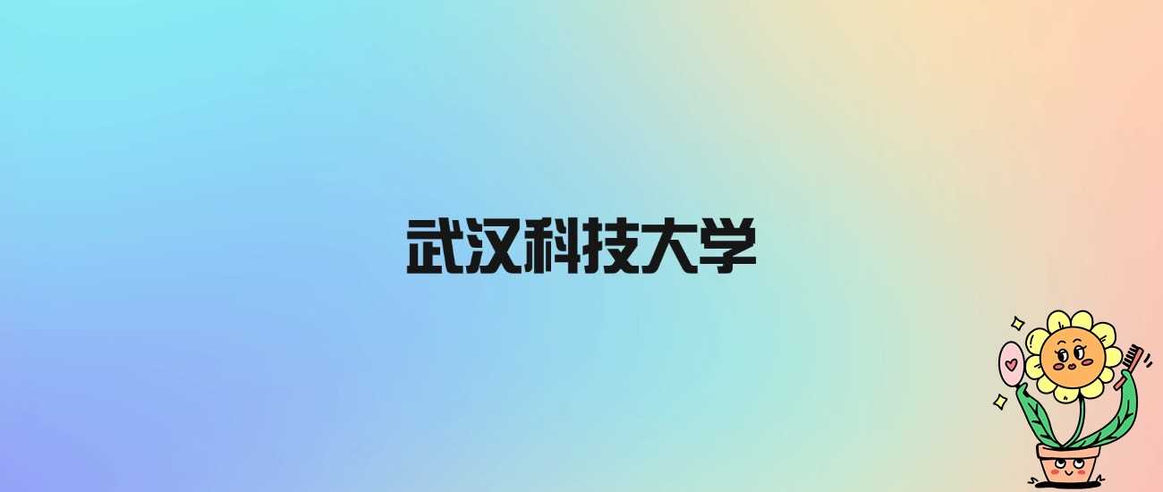 武科大身份说明：省重点非985211