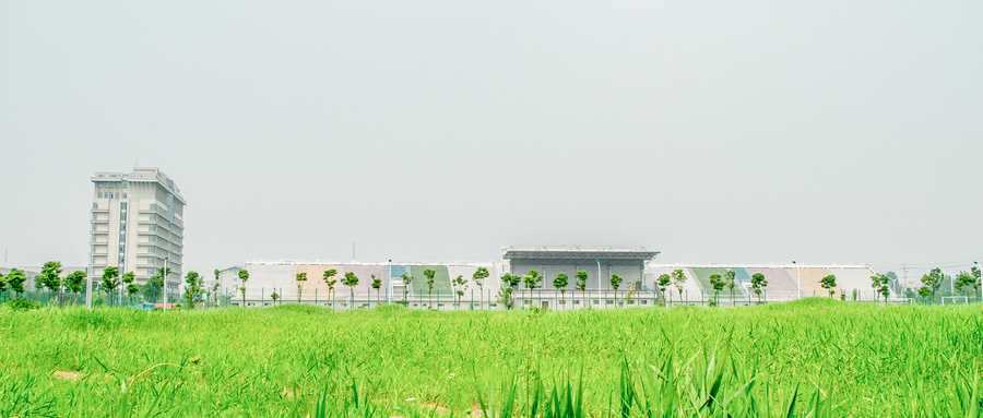 浙江三位一体2025院校名单：含2024分数线与面试攻略