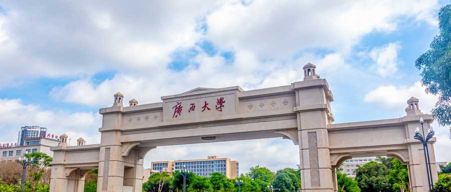 广西高校2025综合实力榜与录取线
