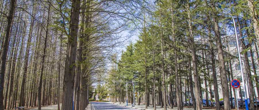 辽宁高校2024排名与分数线：本科专科线全收录