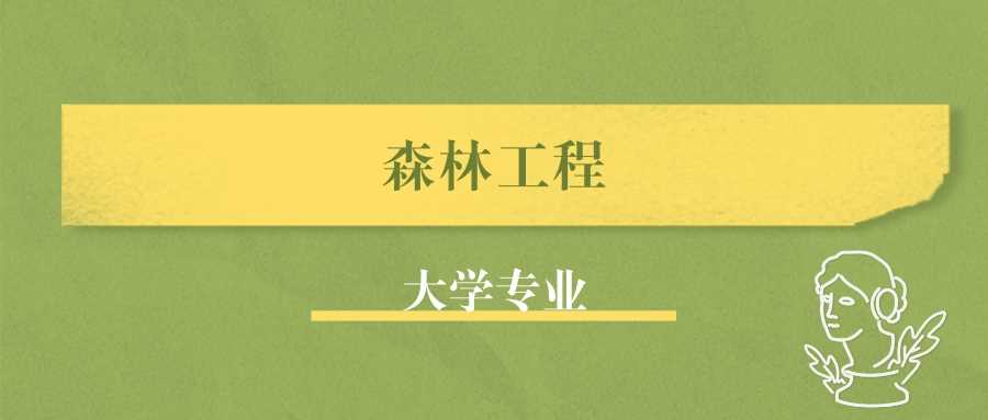 森林工程专业去哪读？就业方向、前景与院校推荐全攻略
