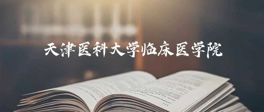 天津医大临床医学院2024录取线：336-542分区间解析