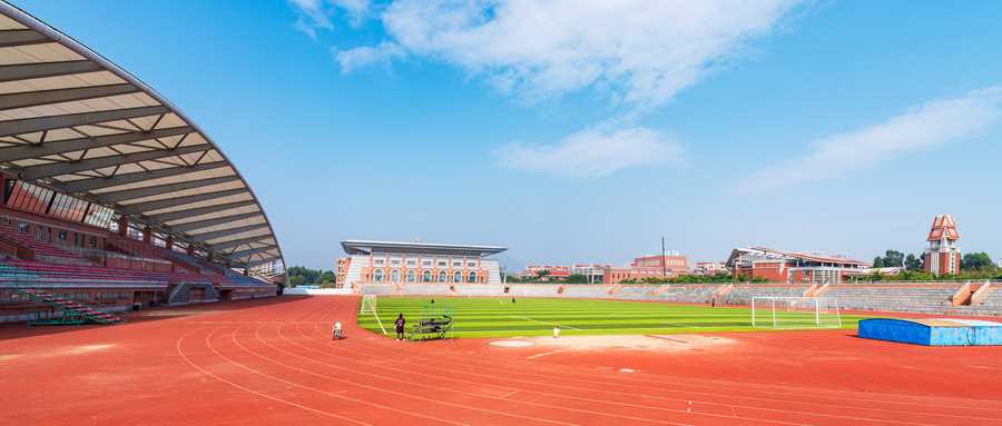 张雪峰谈政治学与行政学：就业方向、岗位与行业前景拆解