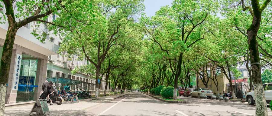 480分文科生能上的好大学：多省份2024录取数据参考