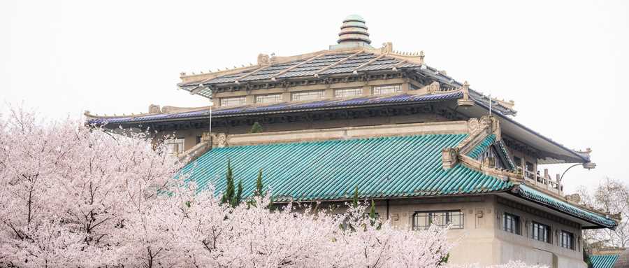 副部级大学名单及2025分数线梯队排名