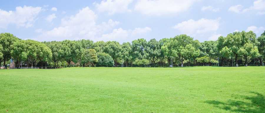 北京医科高校最新排行：各校2024分数线与报考指南