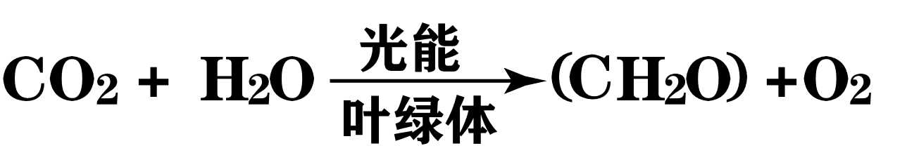 光合作用总反应式与光、暗反应知识梳理：高中生物必背