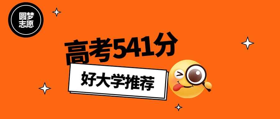 陕西541分2025能上哪些公办本科？可报院校与志愿策略