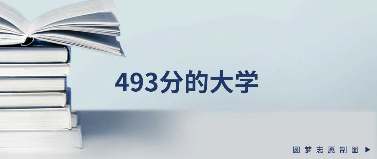 四川493分理科2025可报考大学推荐