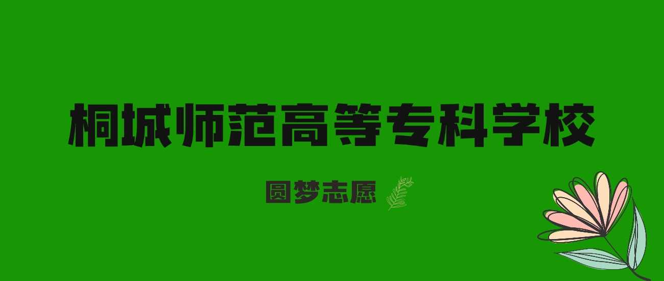 桐城师专2025录取线：2024分数与位次