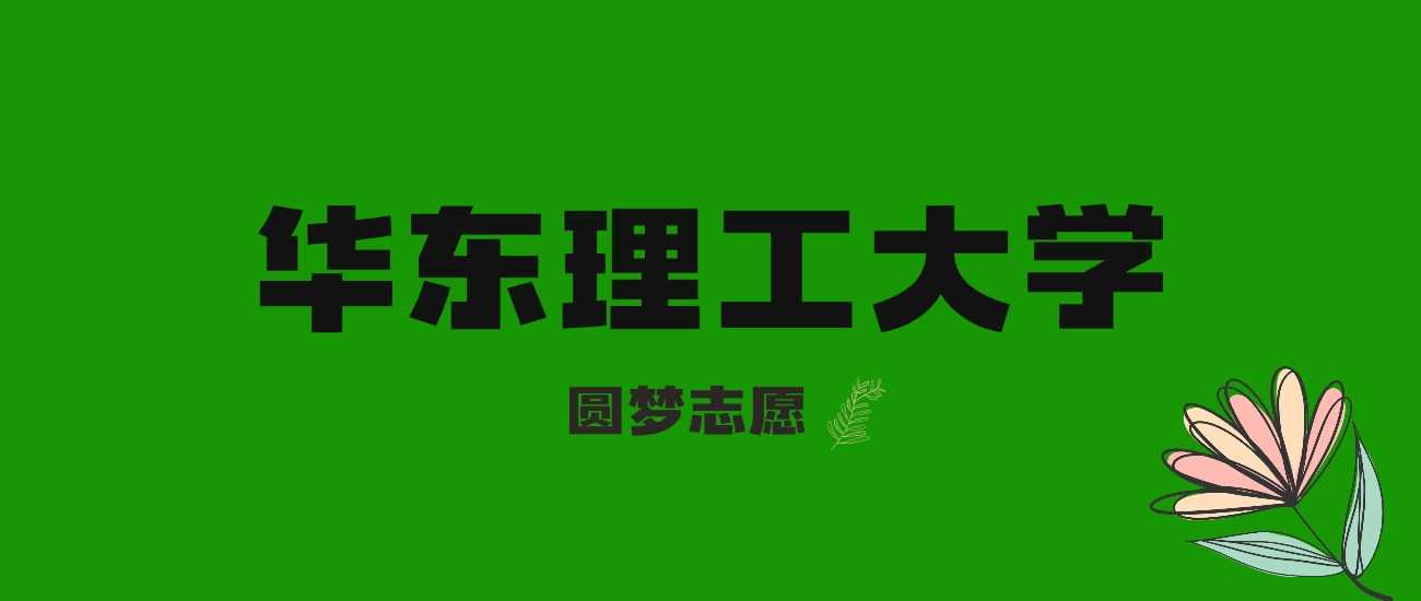 江西考生冲华东理工得几分？2024分数线与位次精准参照