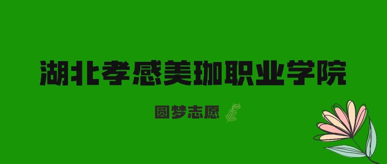 2025湖北考生多少分进孝感美珈？近三年录取线+位次对照