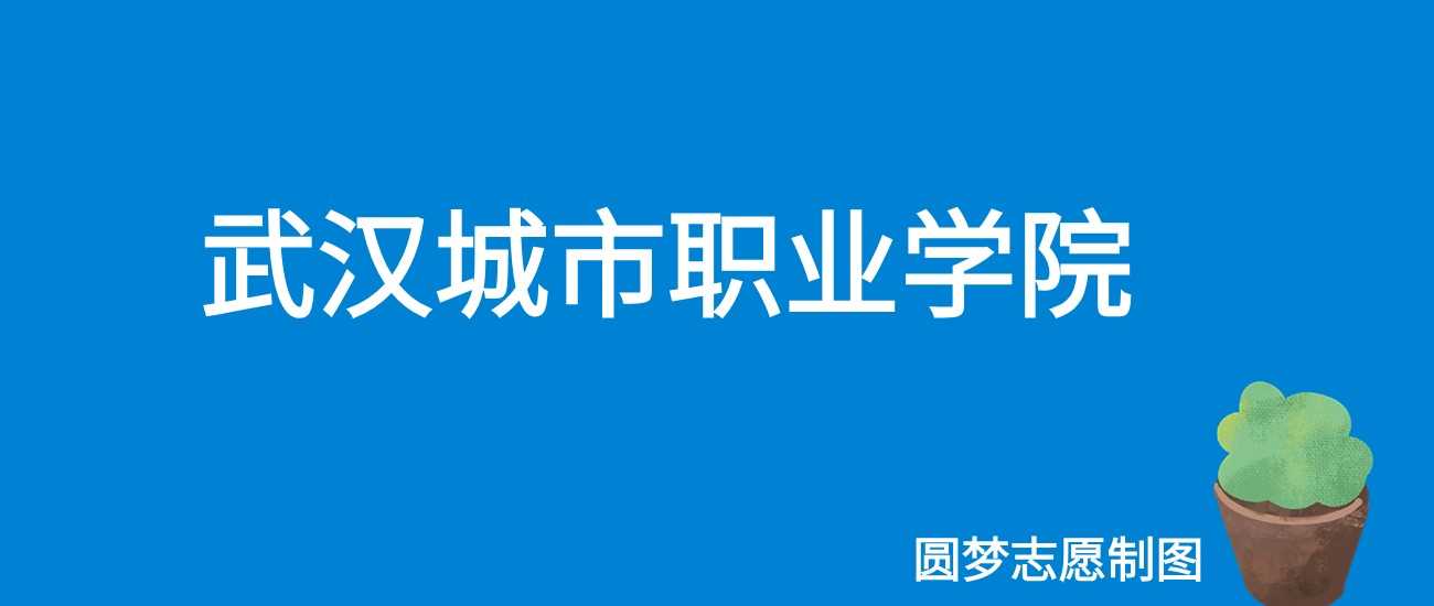 武汉城市职院2024物理历史最低分汇总：各省门槛速查