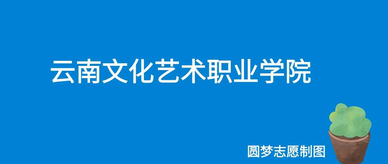 云南文化艺术职院2024文理最低分汇总，艺考生必看