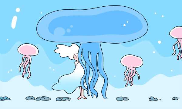 地方专项计划与定向招生的核心区别解读